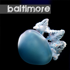 guide voyage baltimore