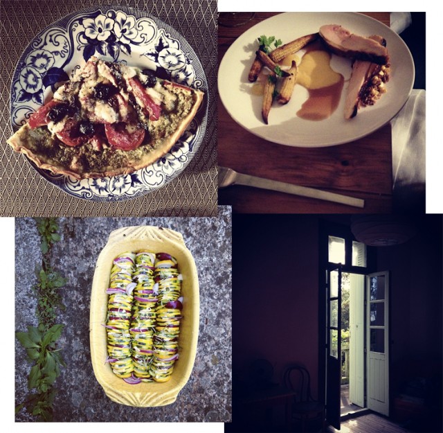 melopapilles-instagram-a-suivre