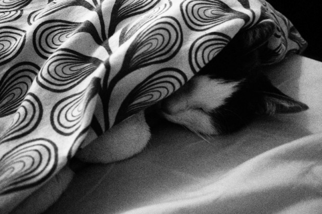 Pancake sous la couette !