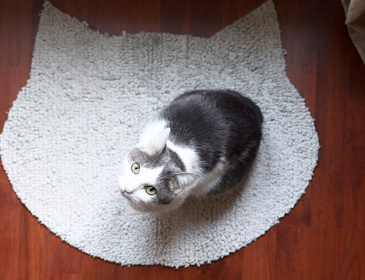 diy tapis pour chat